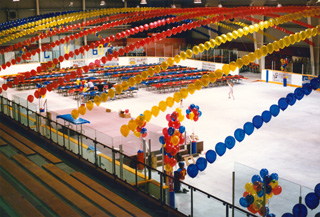 Photo of how Marked Line is used in an arena